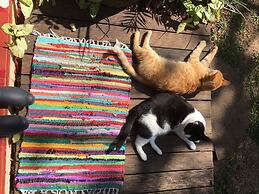 Canto das Laranjeiras - Unidade Pernambuco