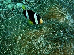 Nika Island Resort & Spa