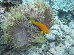 Nika Island Resort & Spa