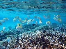 Nika Island Resort & Spa