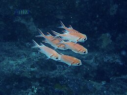 Nika Island Resort & Spa