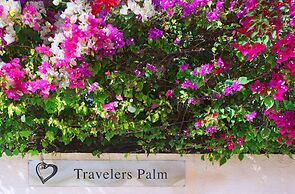 Travelers Palm