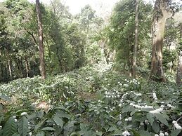 Amritasthanam Guest House And Retreat