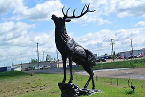 Vegreville Garden Inn