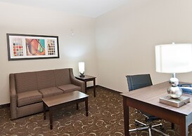 Holiday Inn Express & Suites San Antonio SE By At&t Center by IHG
