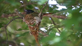 Eight Bells Mountain Inn