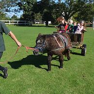 Eight Bells Mountain Inn