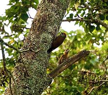 Eight Bells Mountain Inn