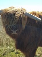 Black Isle Holiday Apartments