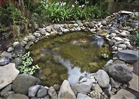 Guayaba Inn Boutique Hotel