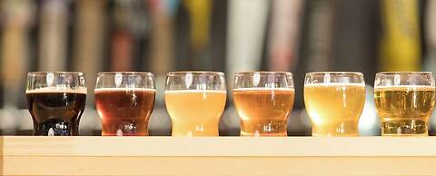 Margaritaville Resort Casino