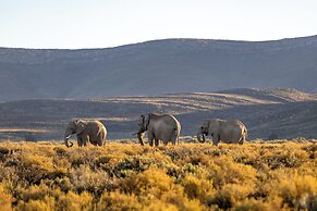 Aquila Private Game Reserve & Spa