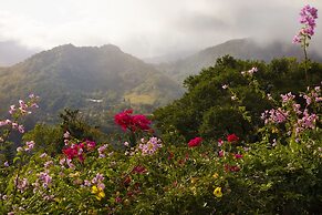 Los Establos Boutique Resort- All Inclusive