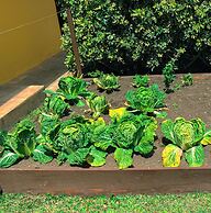 Los Establos Boutique Resort- All Inclusive