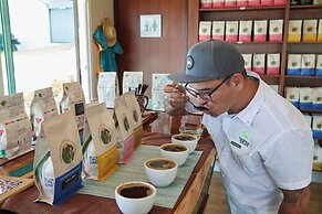 Los Establos Boutique Resort- All Inclusive