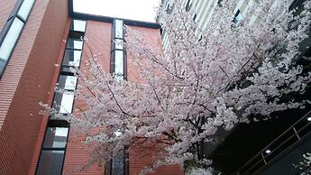 OPPA Hostel Sinchon-Hongdae