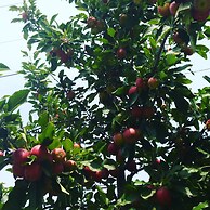 OPPA Hostel Sinchon-Hongdae