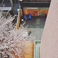 OPPA Hostel Sinchon-Hongdae