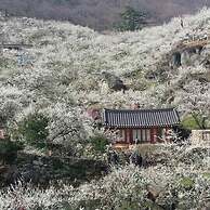 OPPA Hostel Sinchon-Hongdae