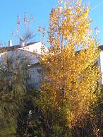 Casas do Palheiro Velho