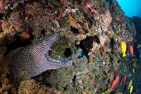 Machangulo Beach Lodge