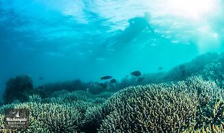 Machangulo Beach Lodge