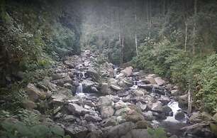 Guayabo Lodge