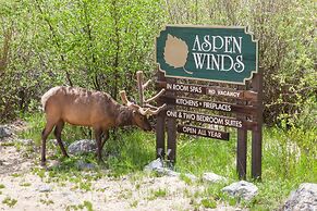 Aspen Winds on Fall River