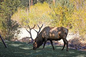 Aspen Winds on Fall River