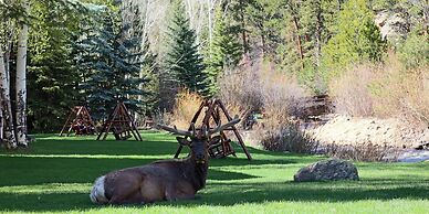 Aspen Winds on Fall River