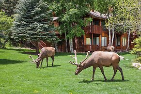 Aspen Winds on Fall River
