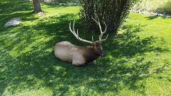 Aspen Winds on Fall River