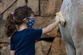 Hotel Historico Fazenda Dona Carolina