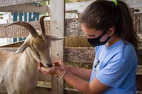 Hotel Historico Fazenda Dona Carolina