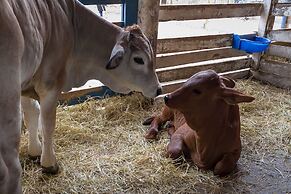 Hotel Historico Fazenda Dona Carolina