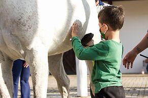 Hotel Historico Fazenda Dona Carolina