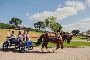 Hotel Historico Fazenda Dona Carolina
