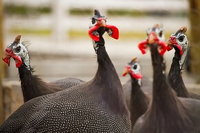 Hotel Historico Fazenda Dona Carolina