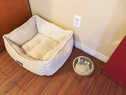 Thunderbird Motor Inn