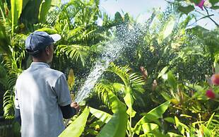 Explorar Koh Phangan - Adults Only Resort and Spa