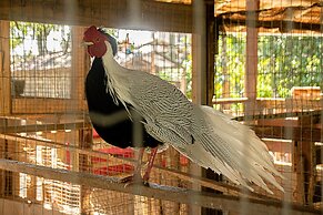 Chácara Rio Jordão