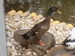 Chácara Rio Jordão