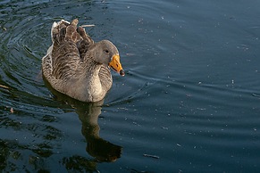Chácara Rio Jordão