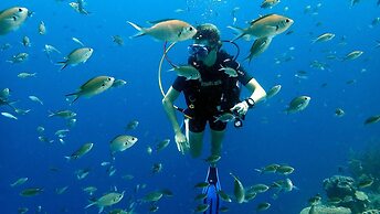 Papagayo Beach Hotel