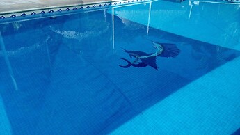 Hotel & Club Campestre Altos Paraiso