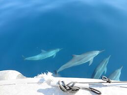 Tropica Island Resort - Adults Only