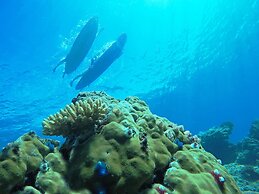 Tropica Island Resort - Adults Only