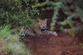 Karongwe Portfolio - Kuname Lodge