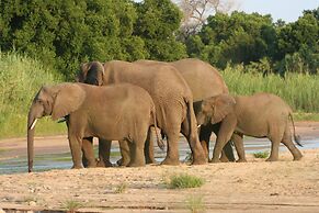 Karongwe Portfolio - Chisomo Safari Camp