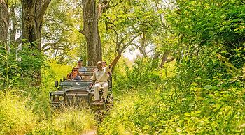 Karongwe Portfolio - Chisomo Safari Camp